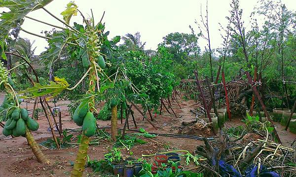 IMAG0117.jpg IMAG0117.jpg