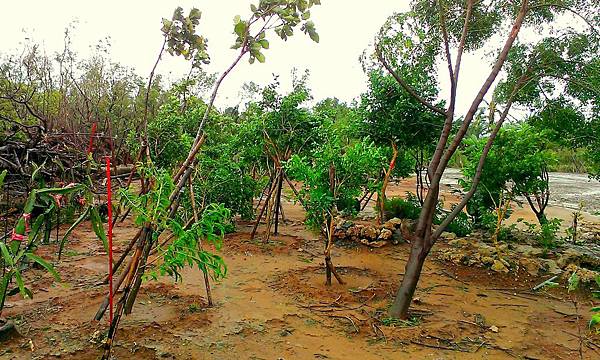 IMAG0119.jpg IMAG0119.jpg