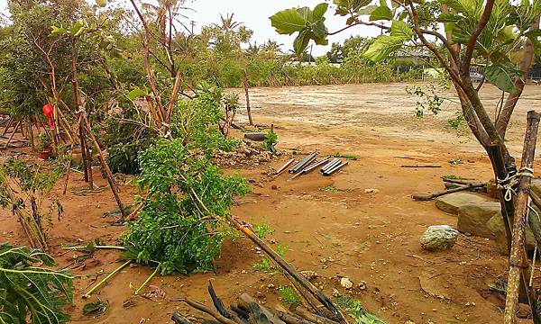 IMAG0126.jpg IMAG0126.jpg