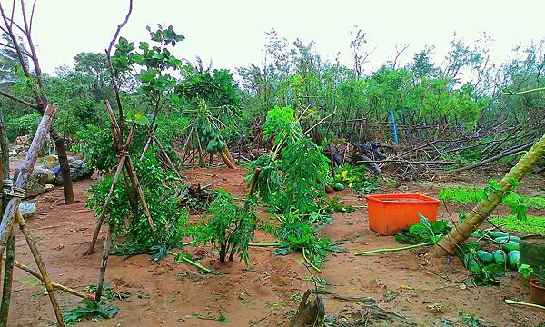 IMAG0130_1.jpg IMAG0130_1.jpg