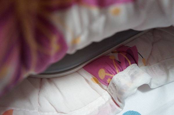 DSC09737.JPG DSC09737.JPG