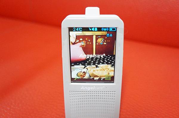 DSC09731.JPG DSC09731.JPG