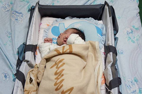 DSC09733.JPG DSC09733.JPG