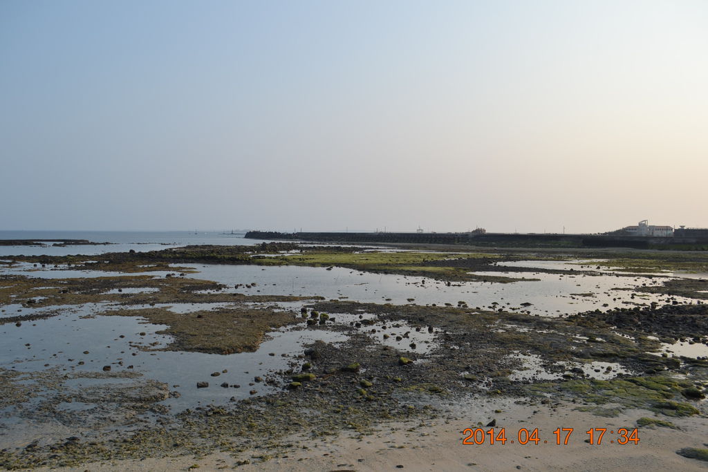 DSC_0336 DSC_0336