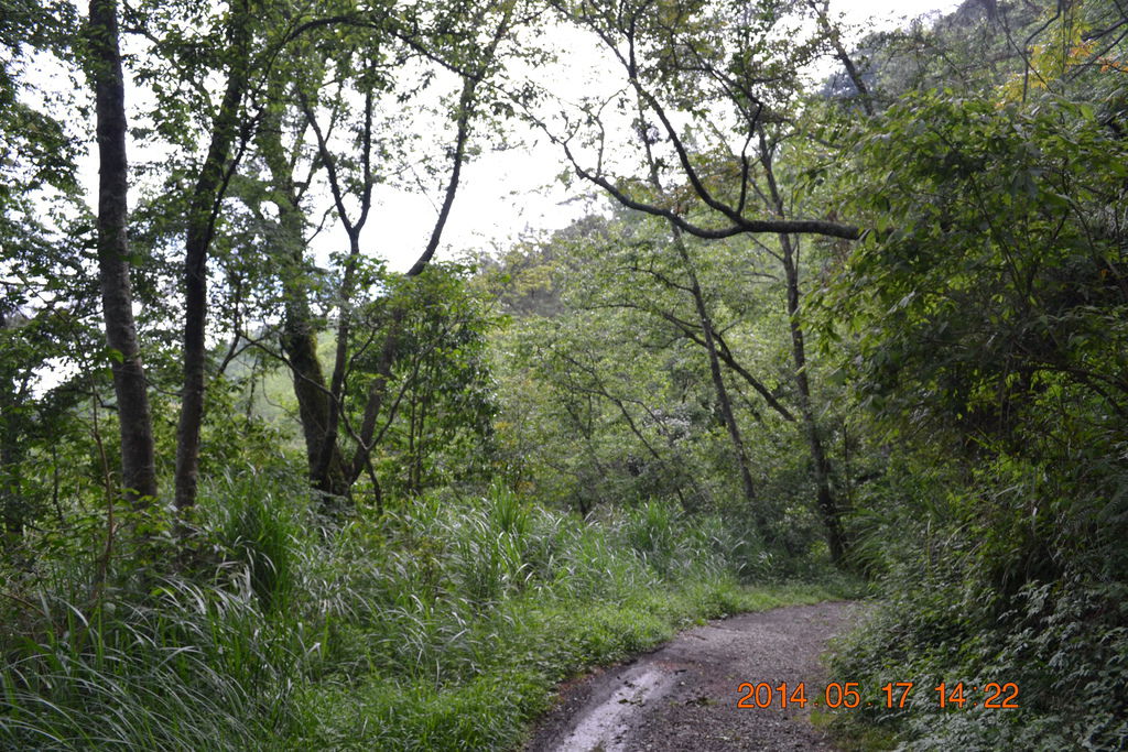 DSC_0086 DSC_0086