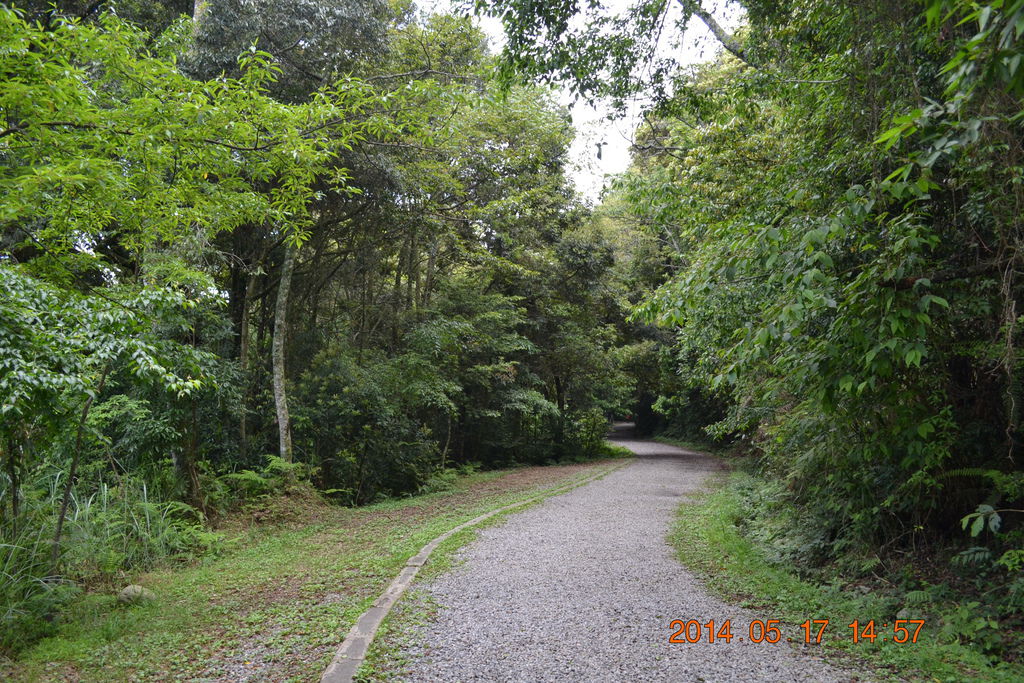 DSC_0101 DSC_0101