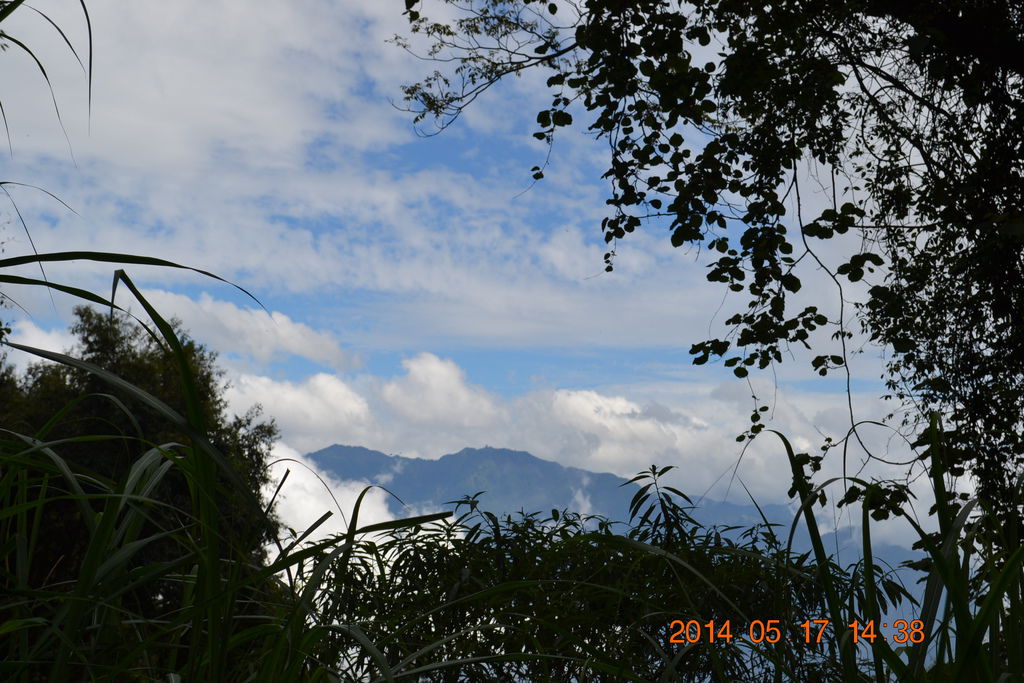 DSC_0089 DSC_0089