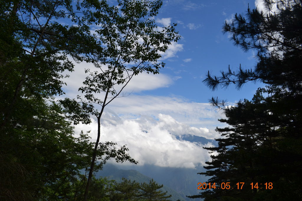 DSC_0081 DSC_0081
