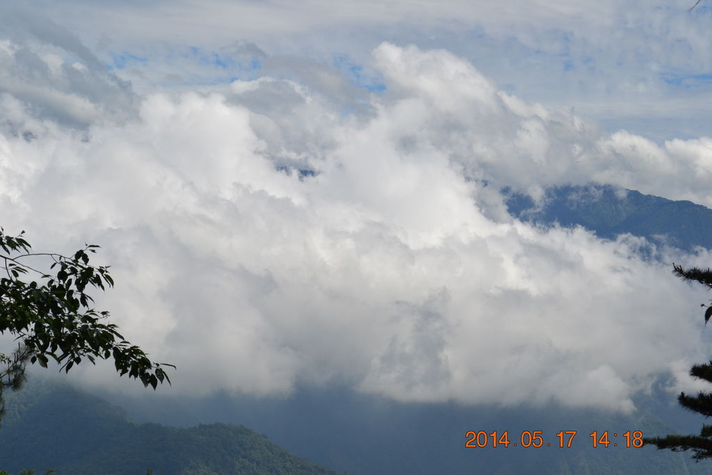 DSC_0082 DSC_0082