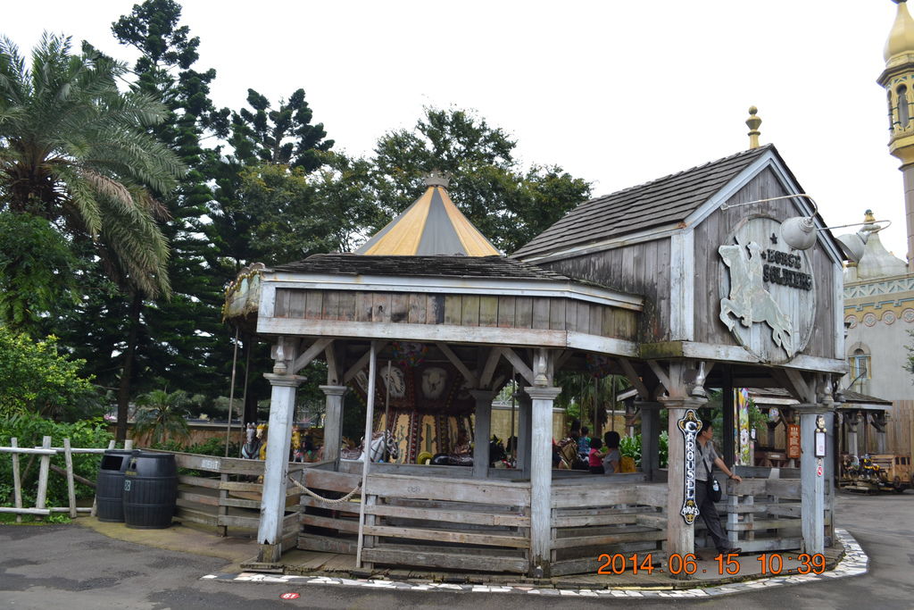 DSC_0317 DSC_0317