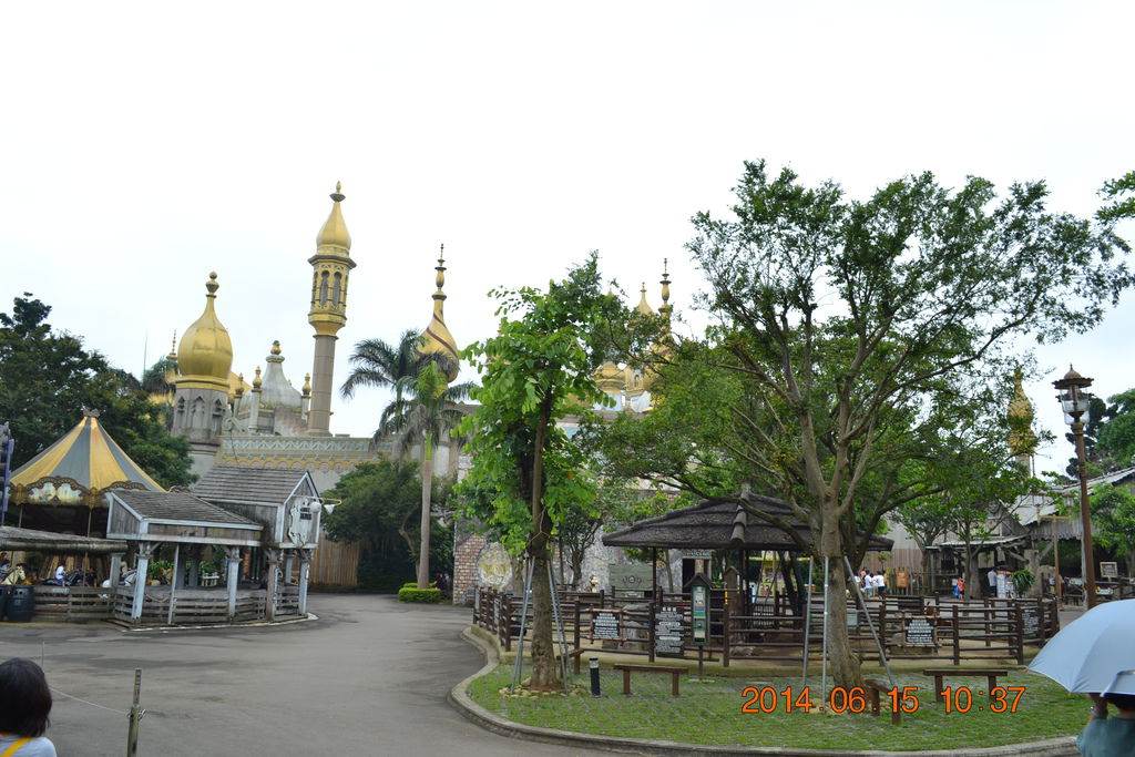 DSC_0315 DSC_0315