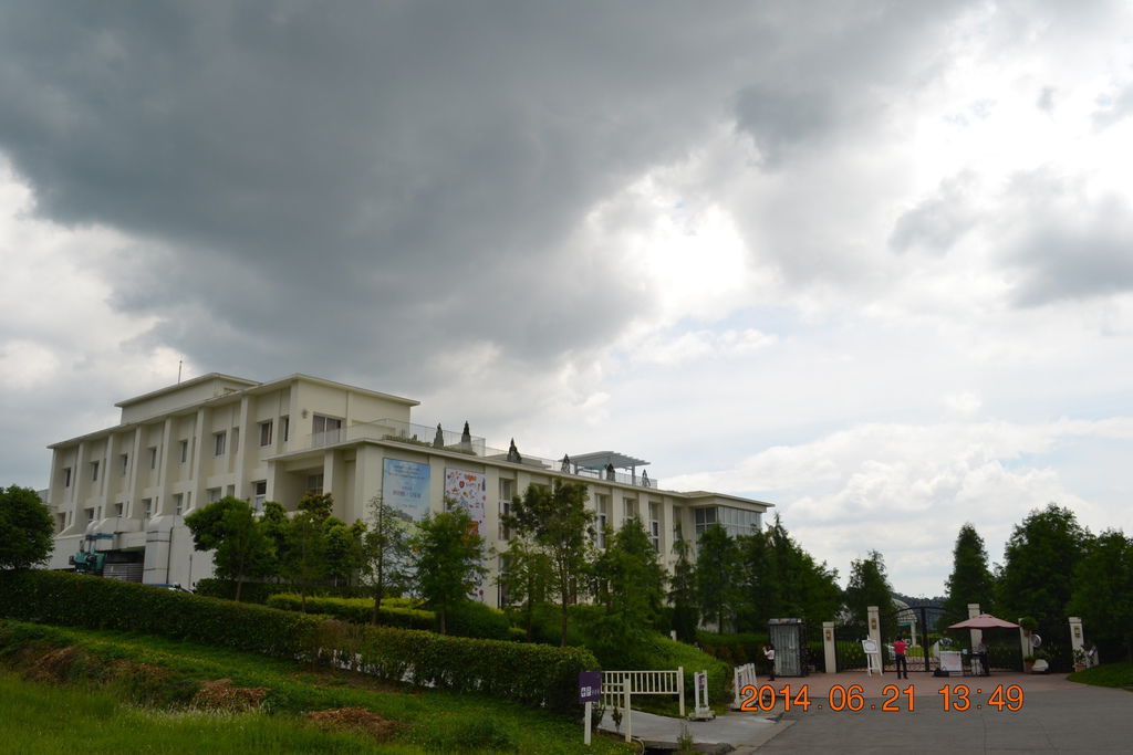 DSC_0475 DSC_0475