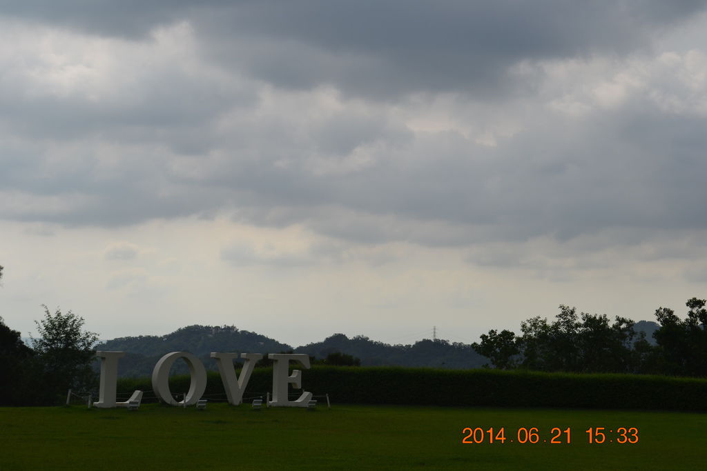 DSC_0499 DSC_0499