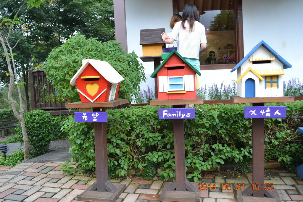 DSC_0540 DSC_0540