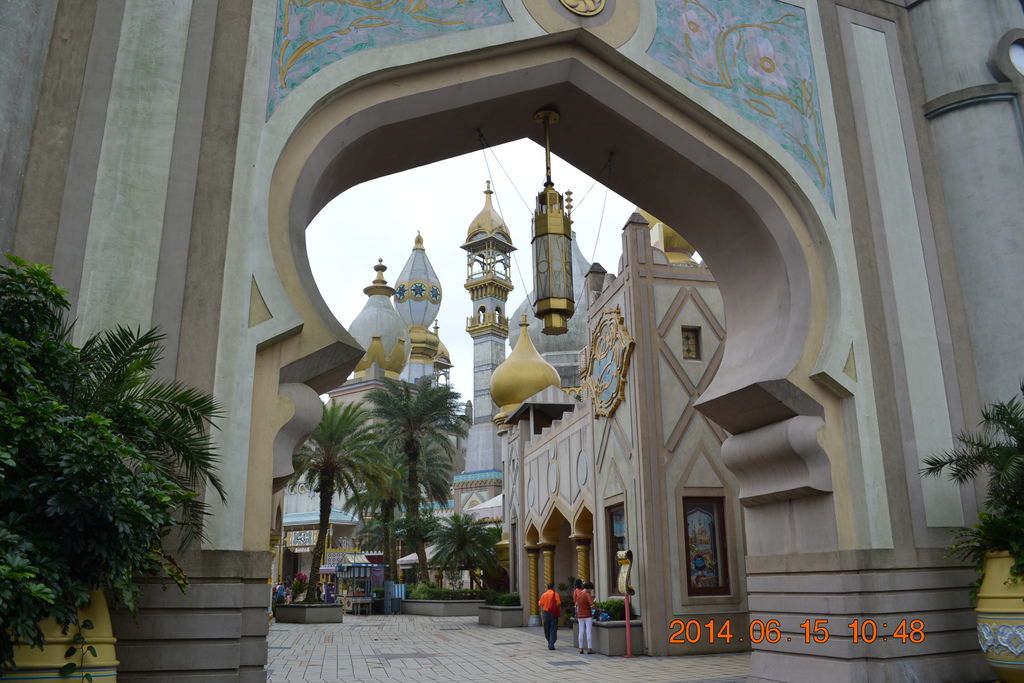 DSC_0334 DSC_0334
