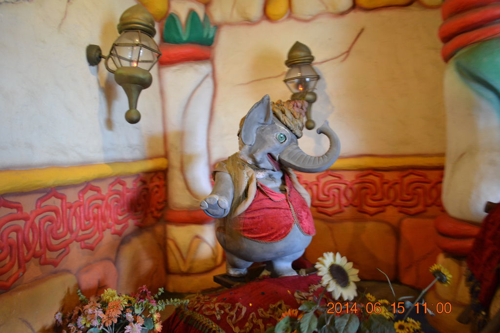 DSC_0352 DSC_0352