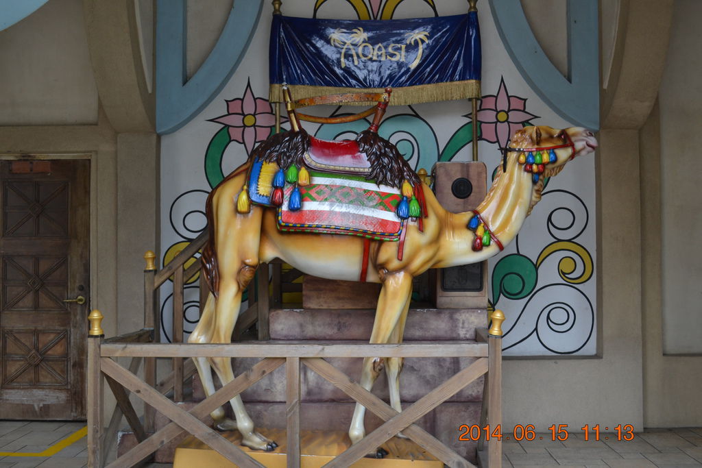 DSC_0373 DSC_0373