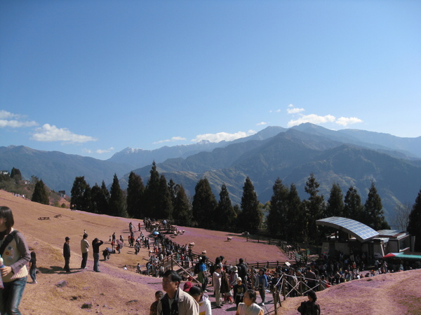 風景粉美.JPG 風景粉美.JPG