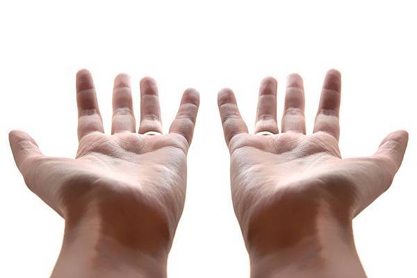 977494_505207069532571_411502158_o