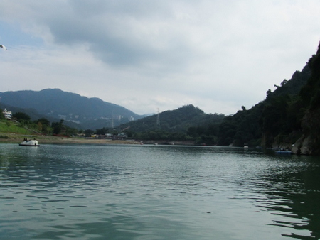 06划鴨鴨12 06划鴨鴨12