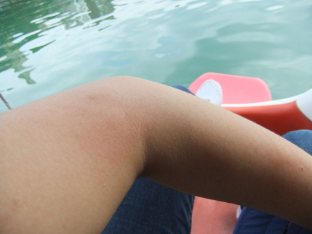 06划鴨鴨65_好多小黑蚊喔 06划鴨鴨65_好多小黑蚊喔