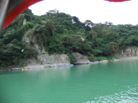 06划鴨鴨36_白鷺鷥飛過 06划鴨鴨36_白鷺鷥飛過