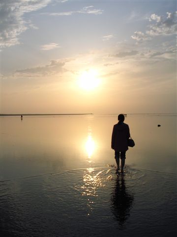 1095609100.jpg 1095609100.jpg