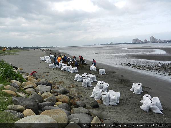 20120321 淡水河馬尾藻漂入及食物網採樣 謝蕙蓮攝 014 八里左岸 20120321 淡水河馬尾藻漂入及食物網採樣 謝蕙蓮攝 014 八里左岸