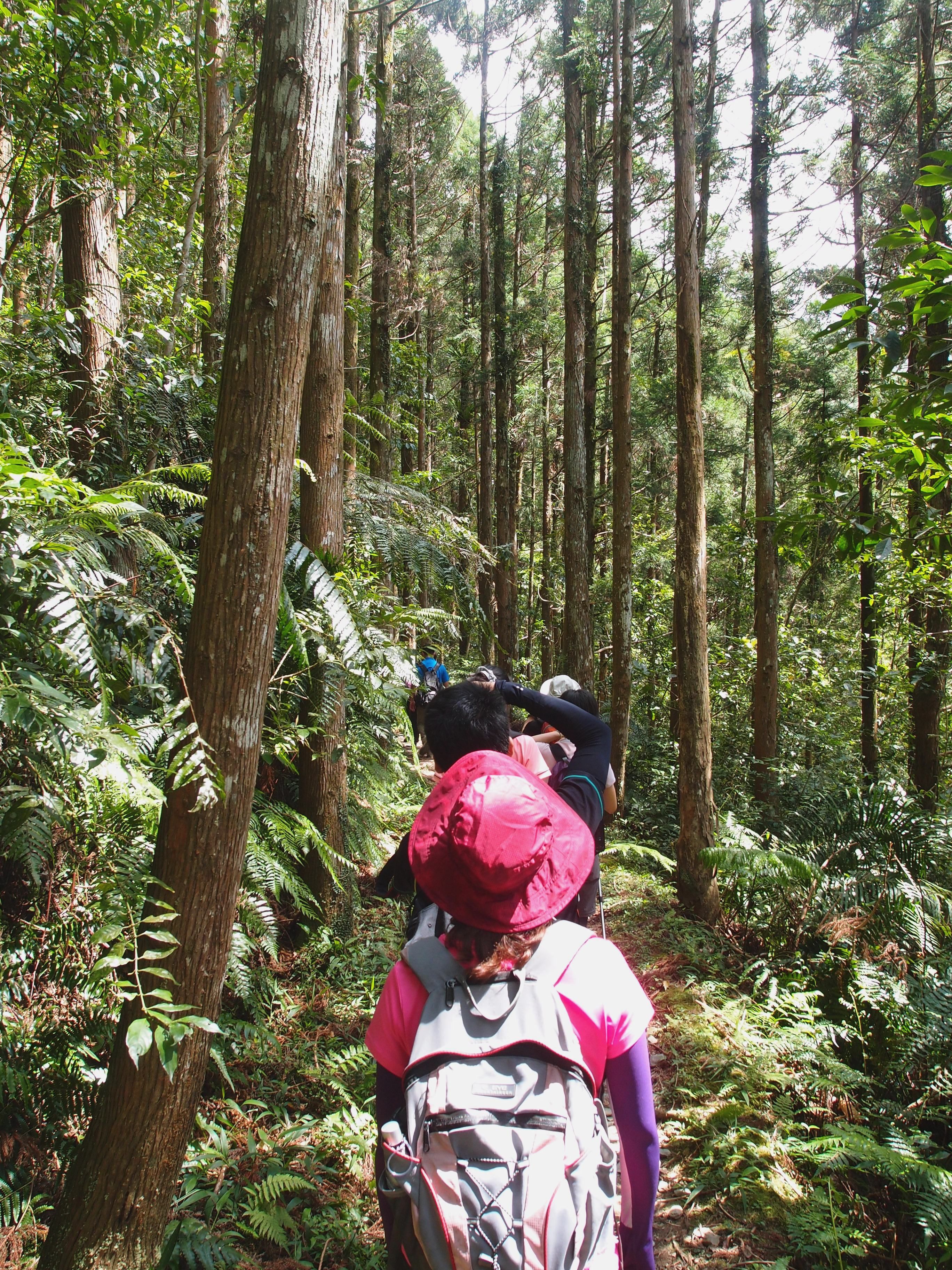 P8308401.JPG P8308401.JPG