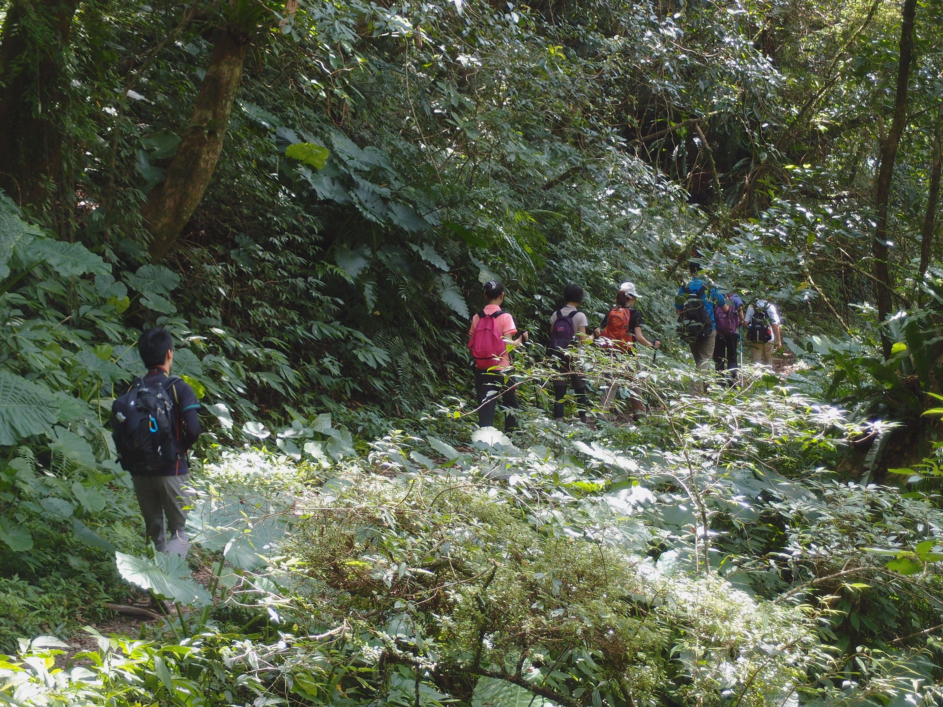 P8308404.JPG P8308404.JPG