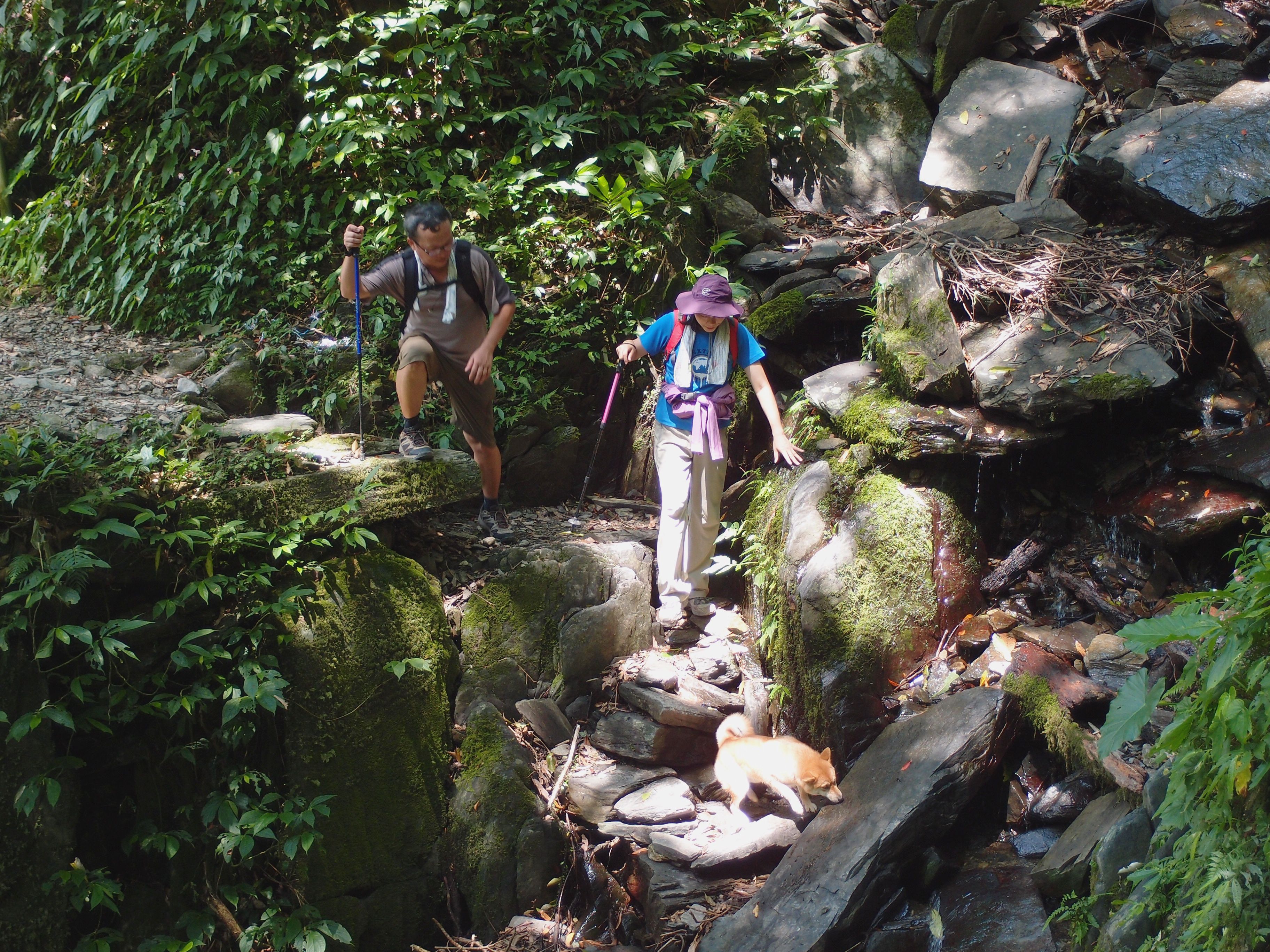 P8308475.JPG P8308475.JPG