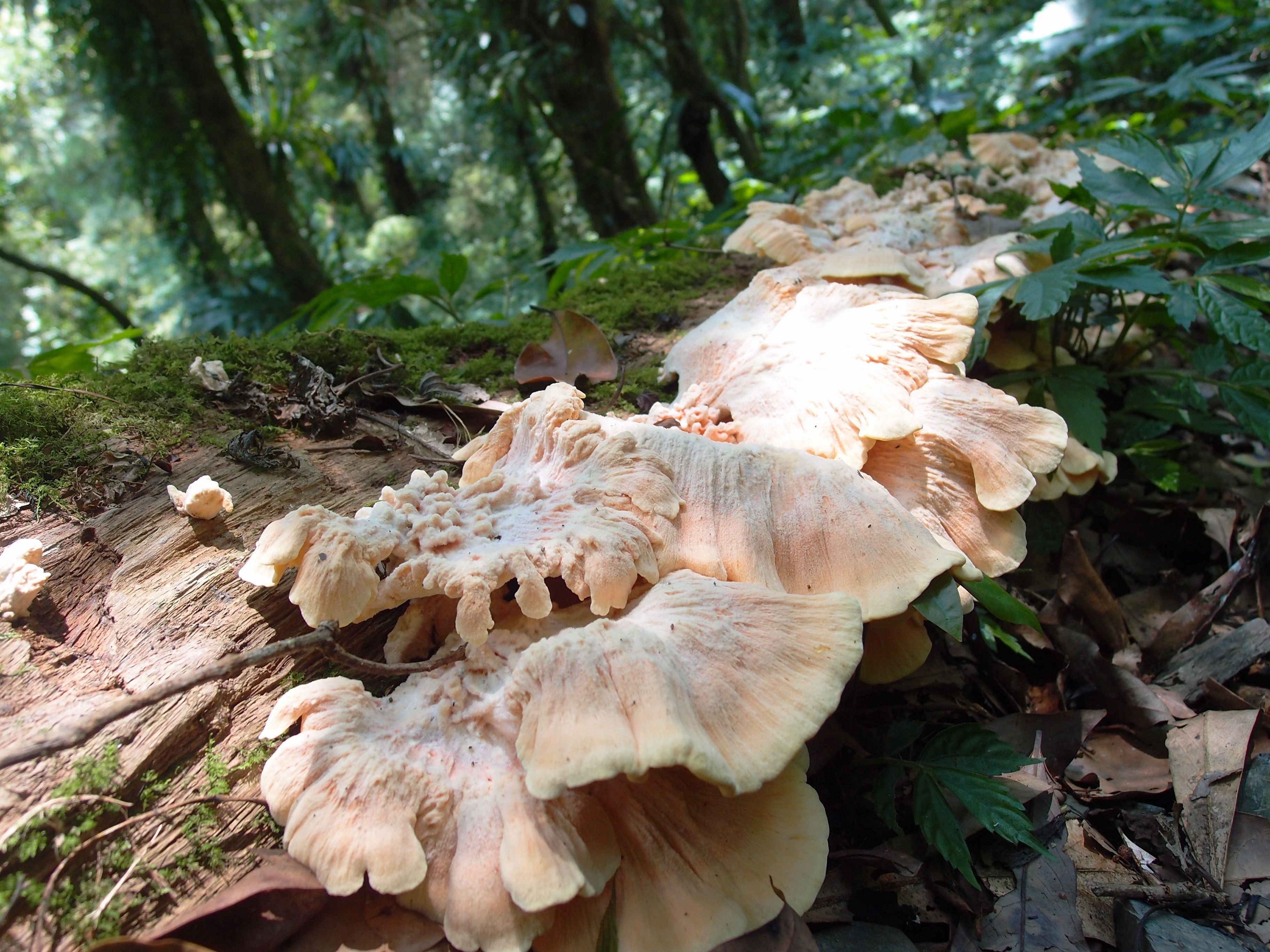 P8308486.JPG P8308486.JPG