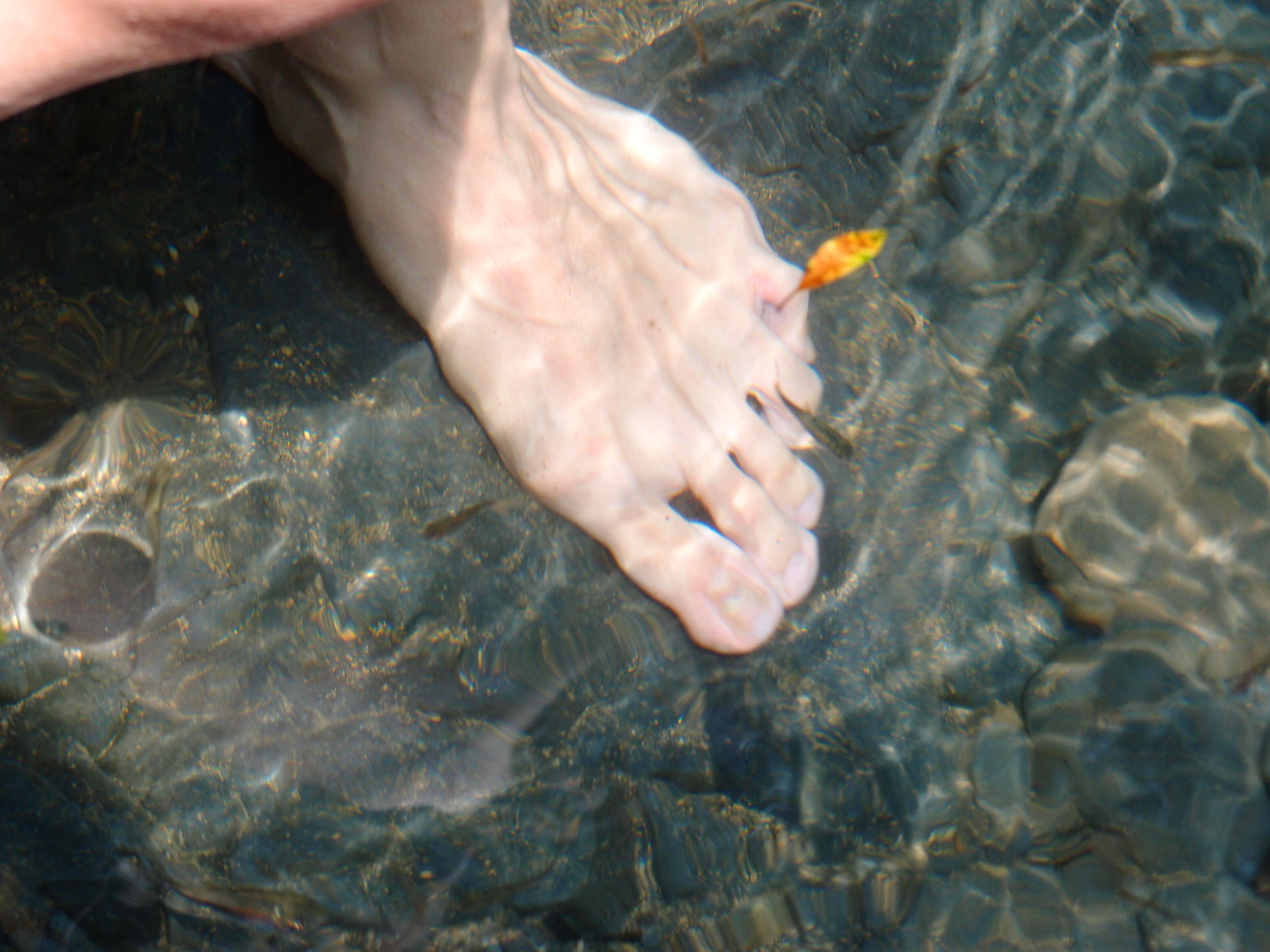 P8308492.JPG P8308492.JPG