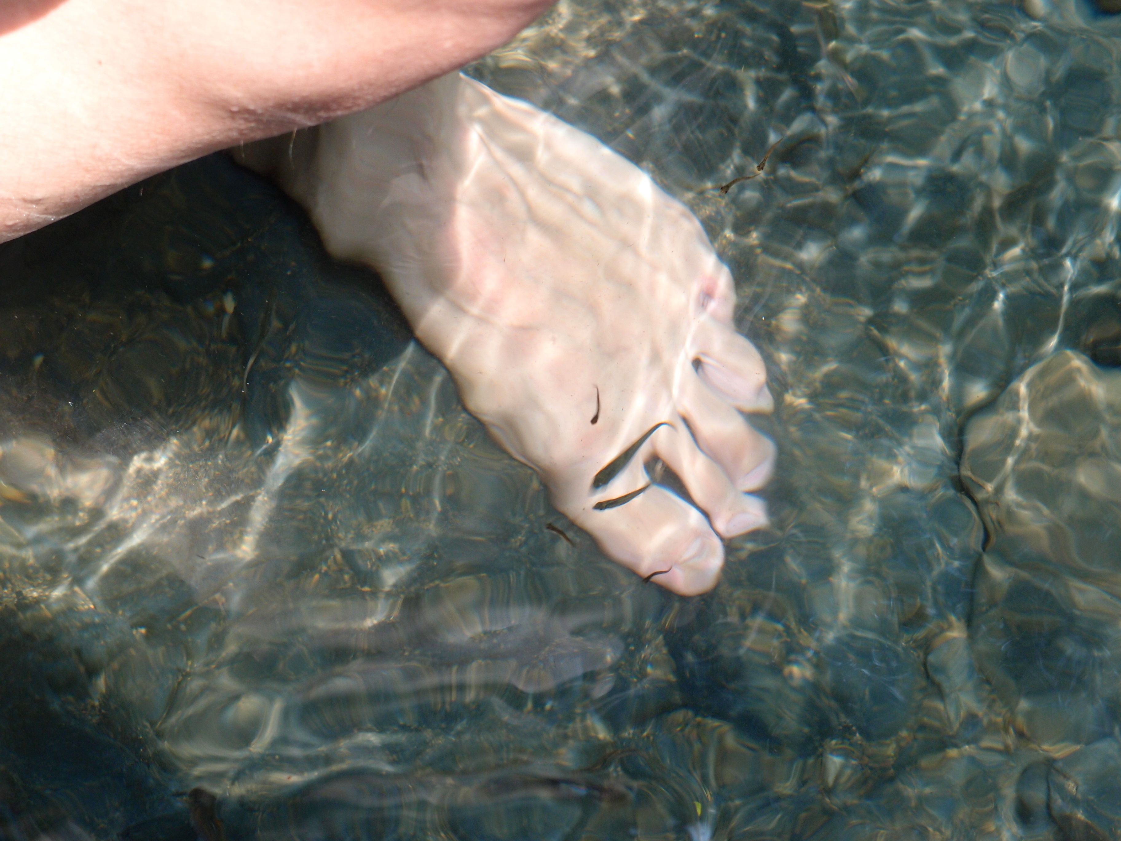 P8308494.JPG P8308494.JPG