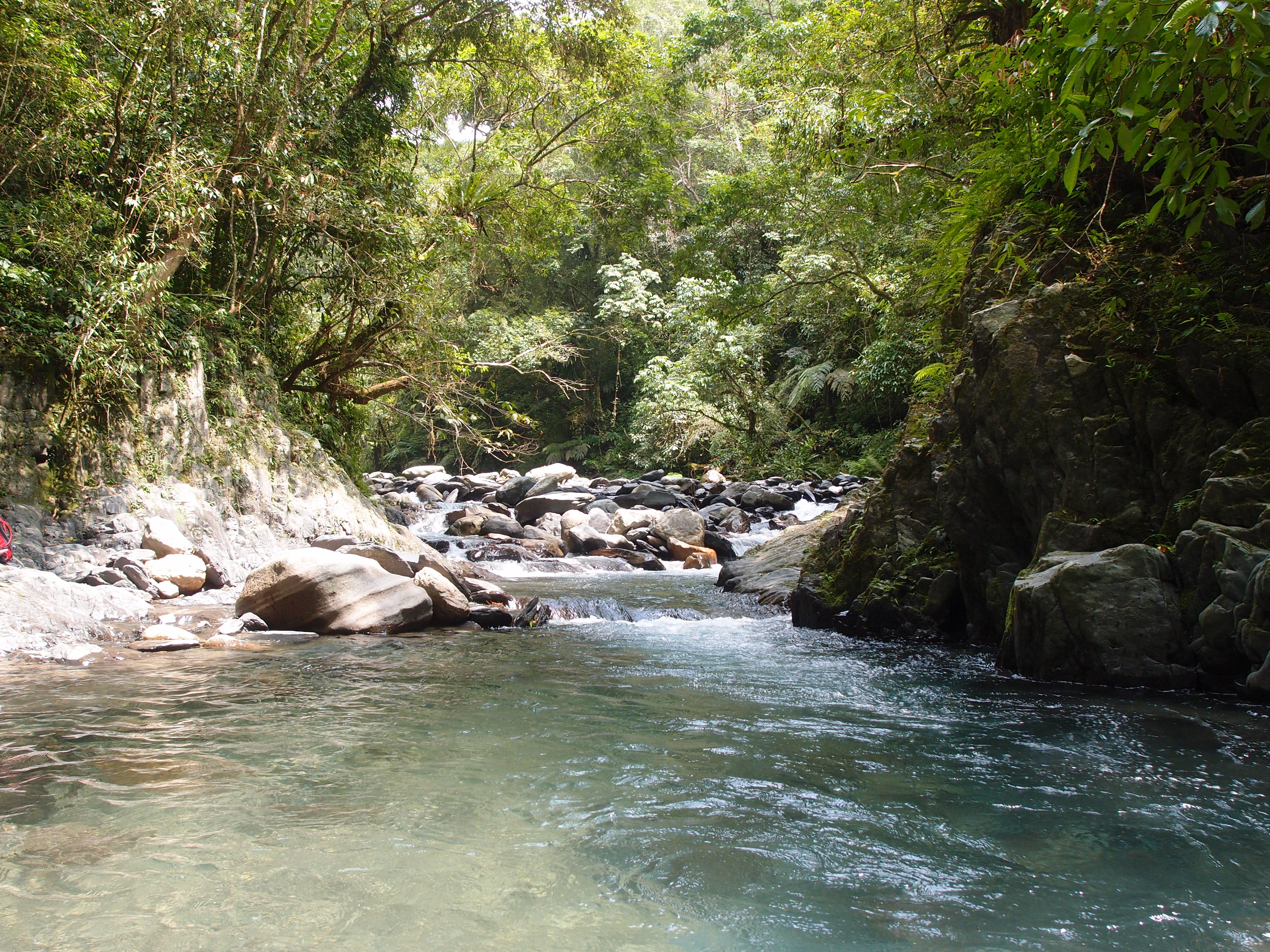 P8308500.JPG P8308500.JPG