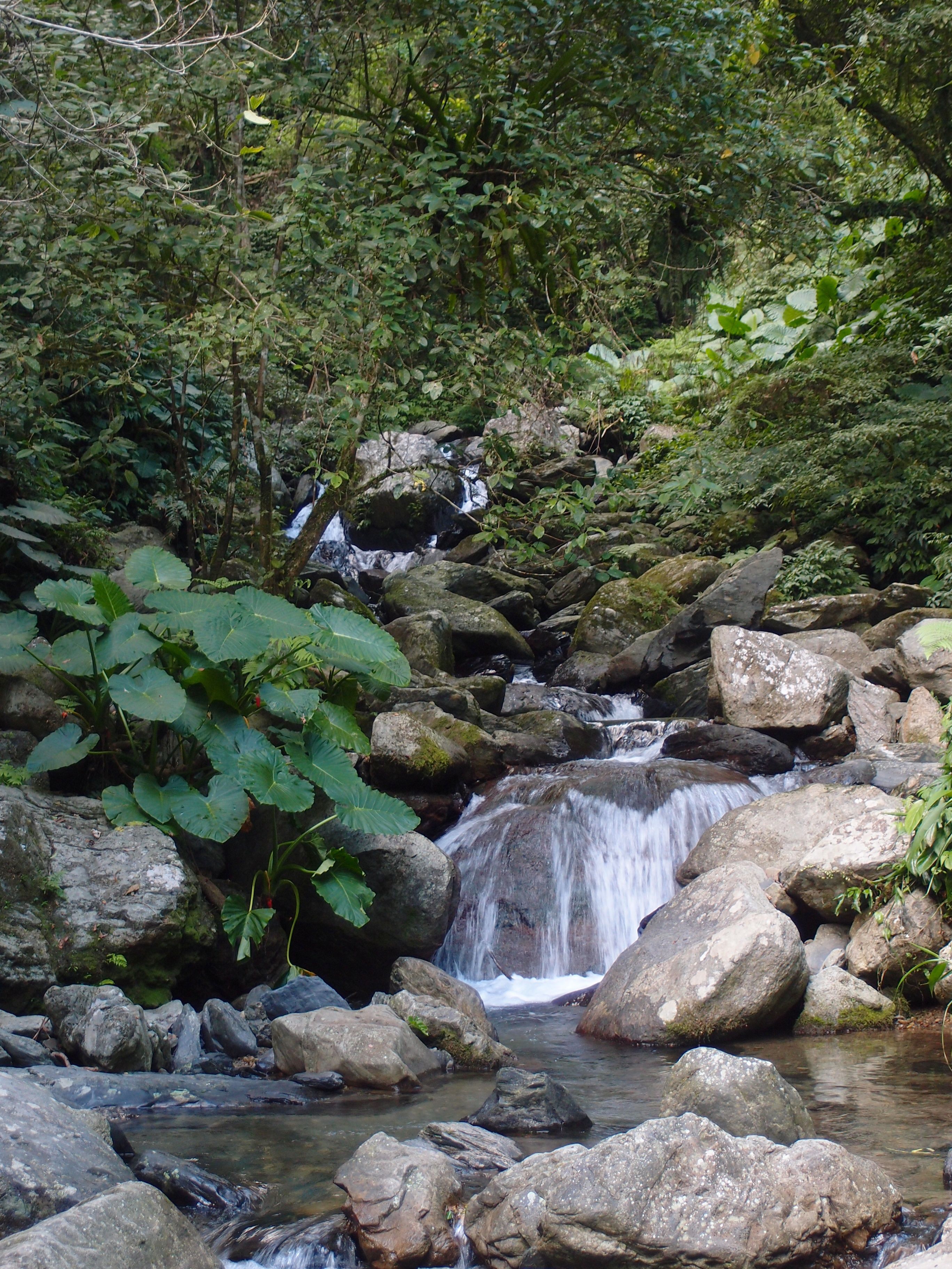 P8308581.JPG P8308581.JPG