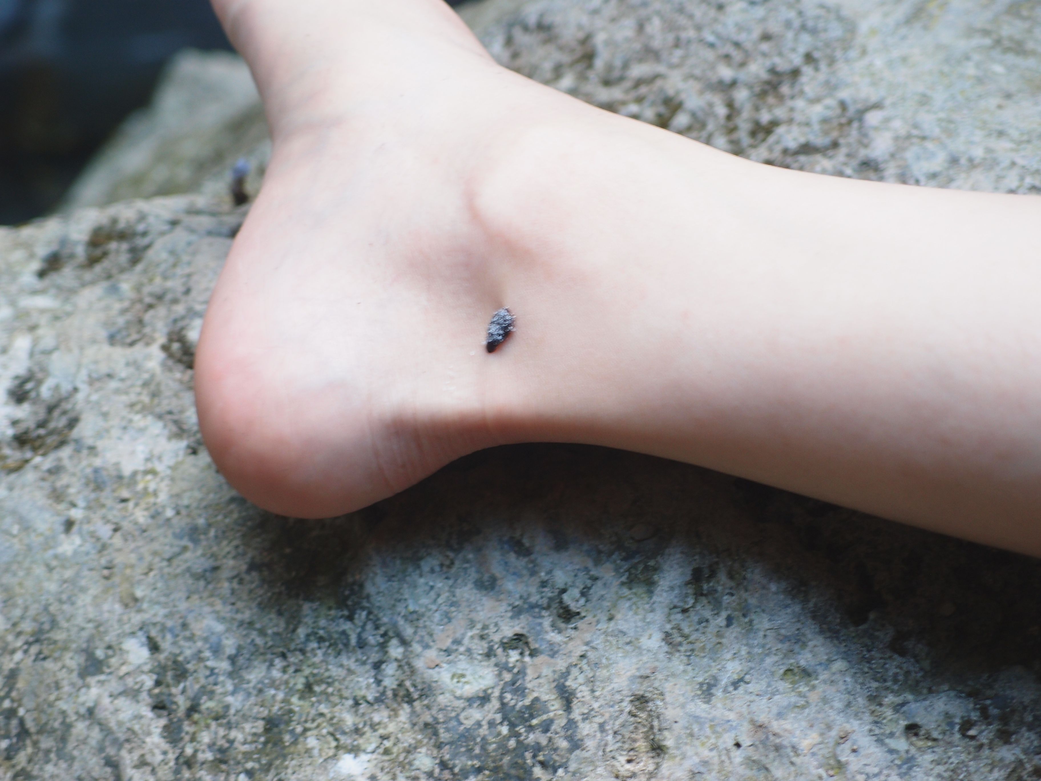 P8308582.JPG P8308582.JPG