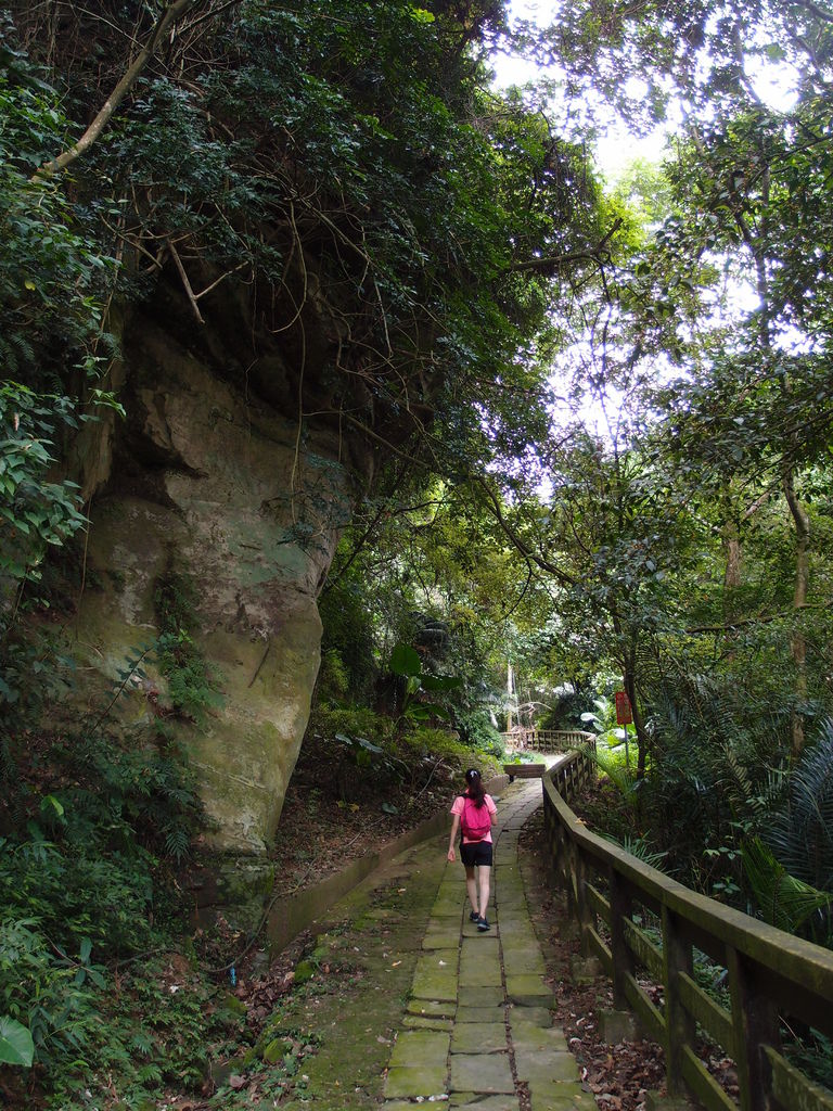 P8248267.JPG P8248267.JPG