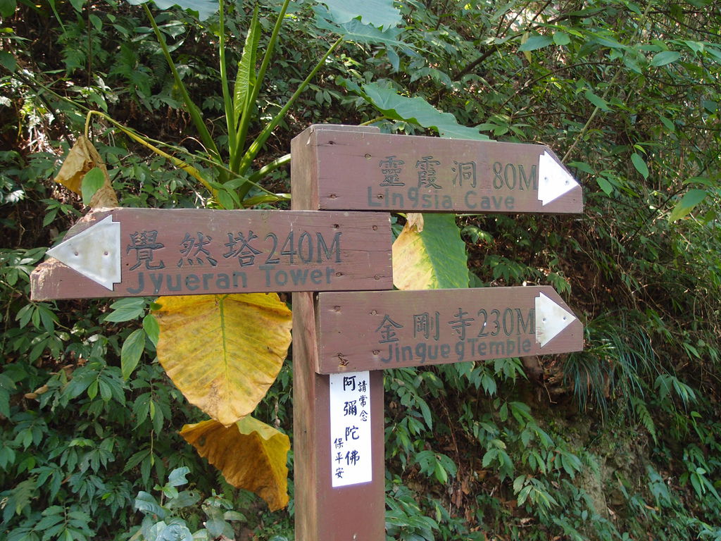 PA191249.JPG PA191249.JPG