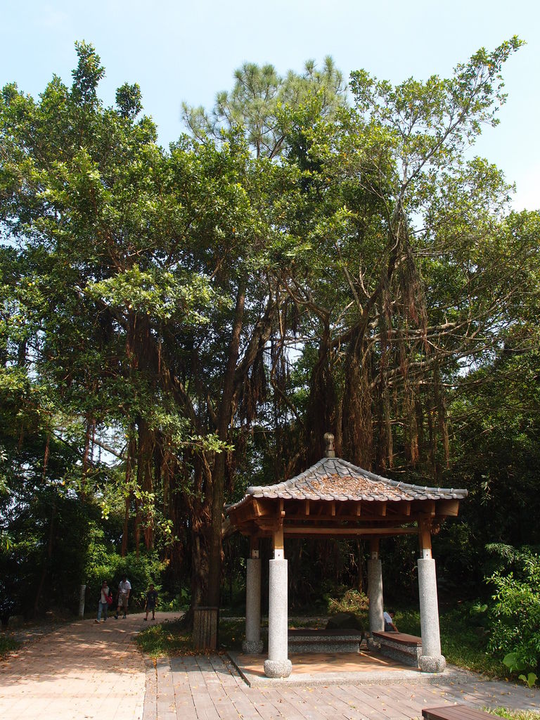 PA191255.JPG PA191255.JPG