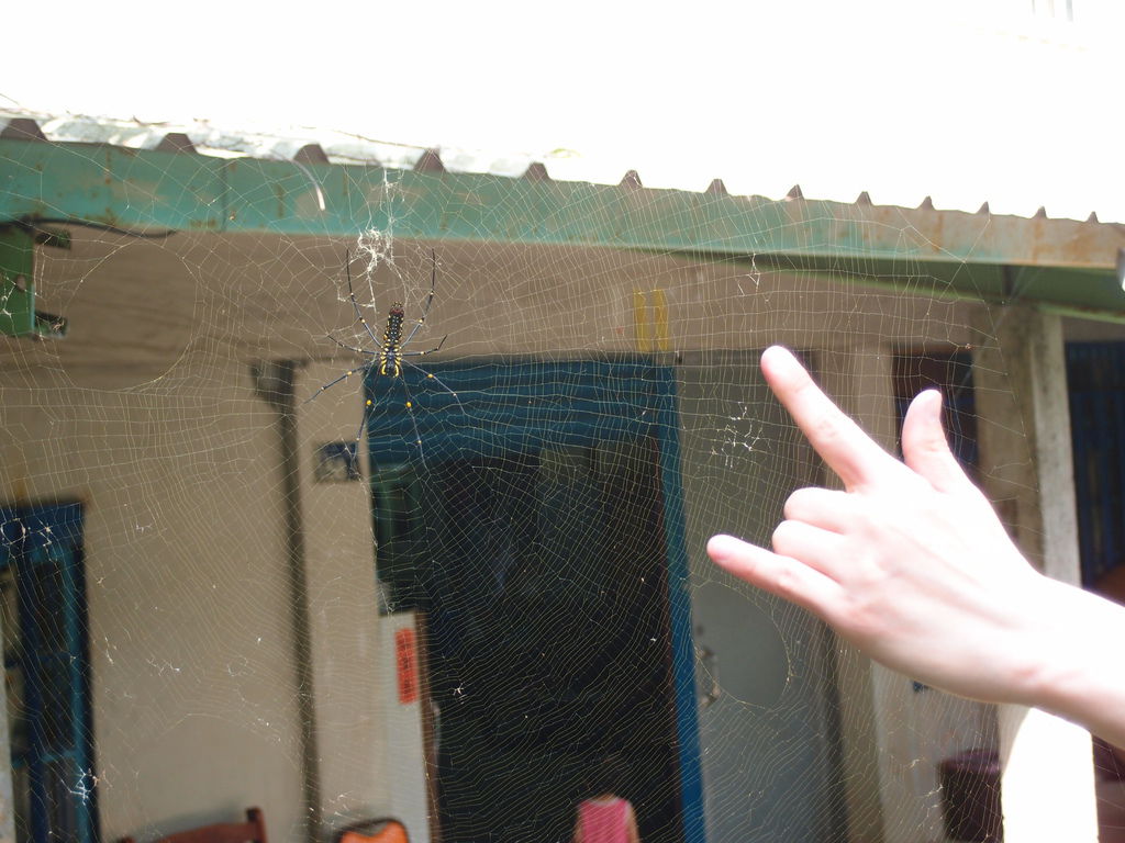 PA191262.JPG PA191262.JPG