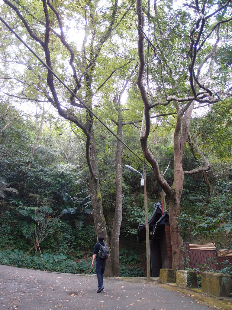 PA191286.JPG PA191286.JPG