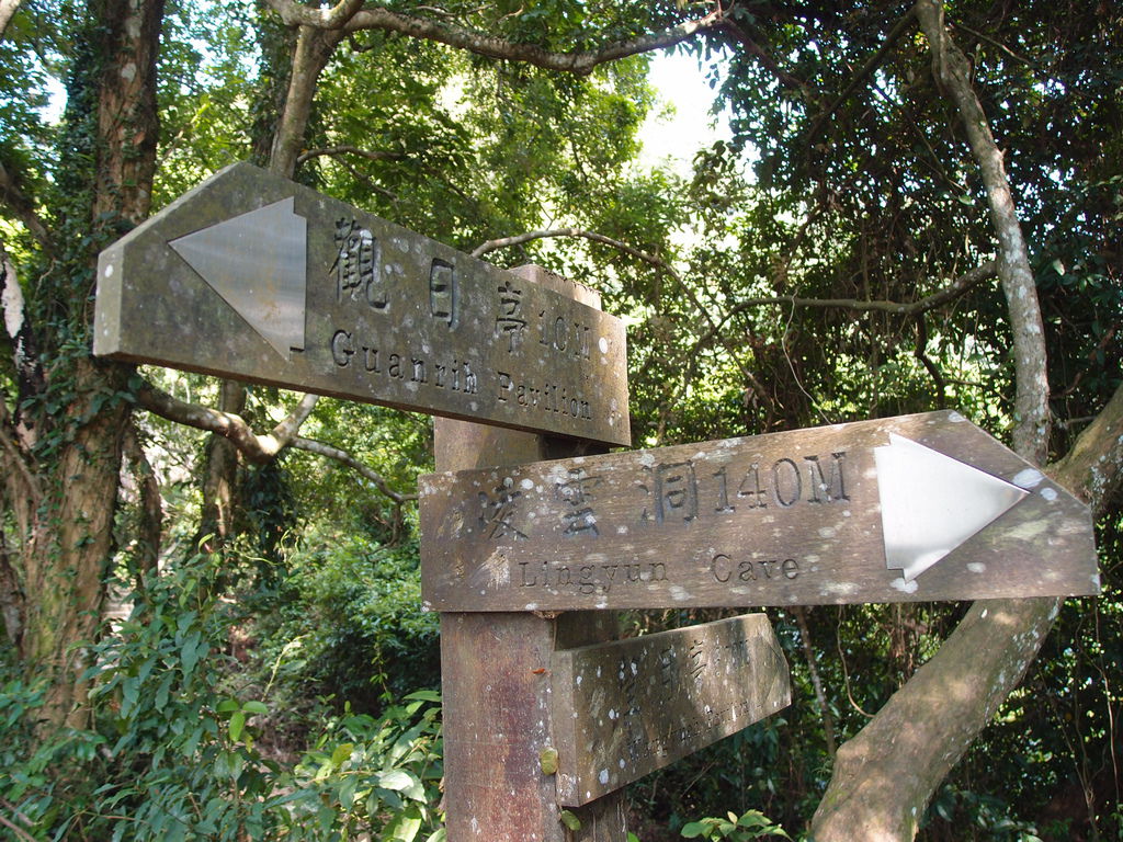 PA191305.JPG PA191305.JPG