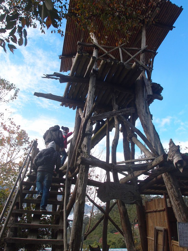 PC203209.JPG PC203209.JPG