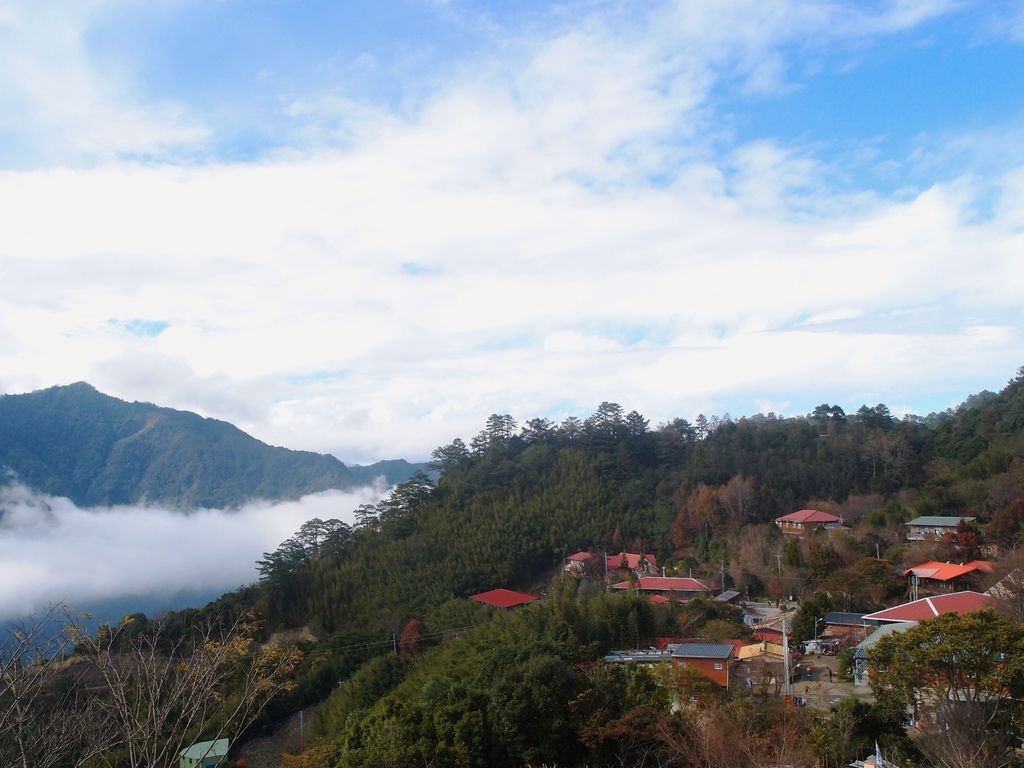 PC203212.JPG PC203212.JPG