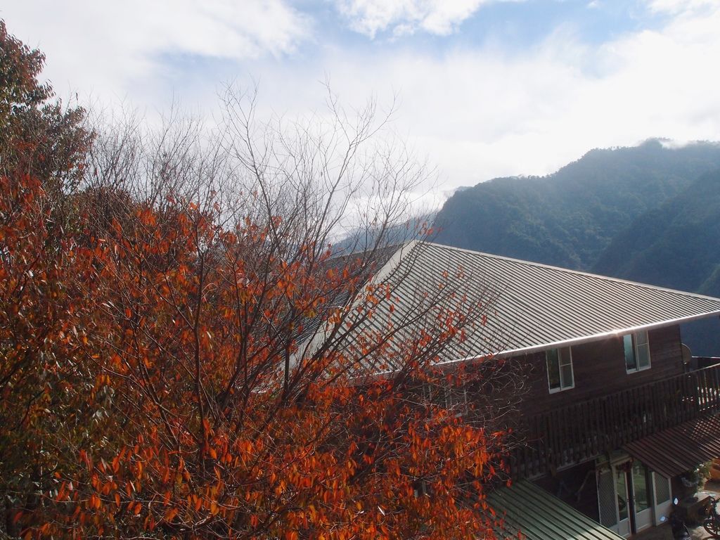 PC203214.JPG PC203214.JPG