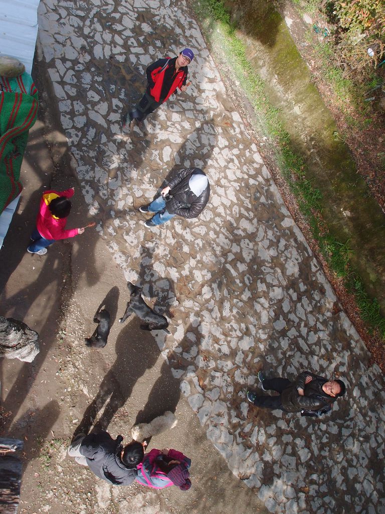 PC203225.JPG PC203225.JPG