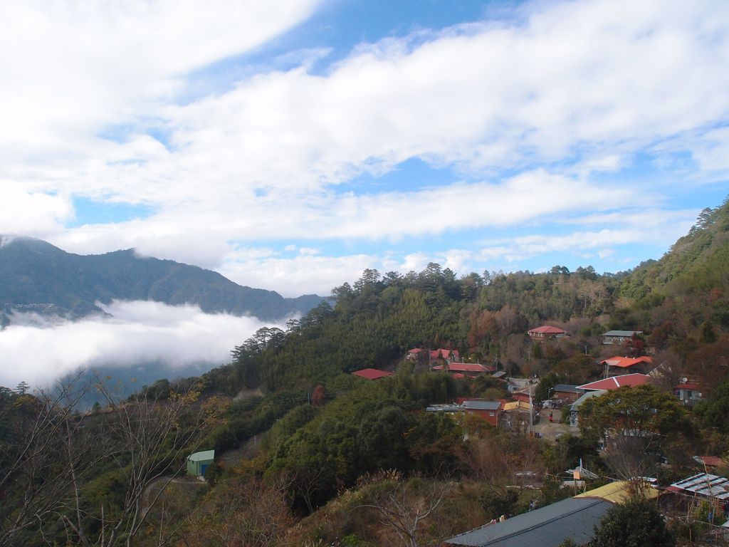 PC203226.JPG PC203226.JPG