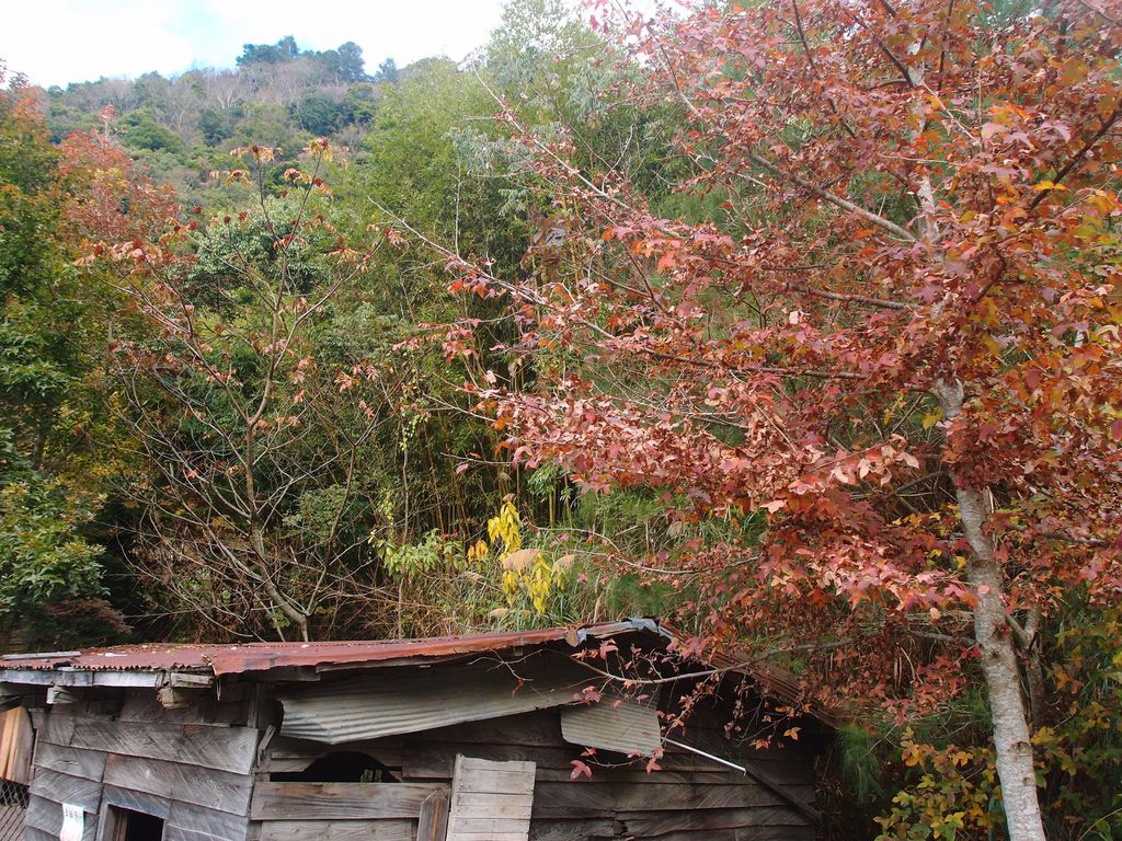 PC203233.JPG PC203233.JPG