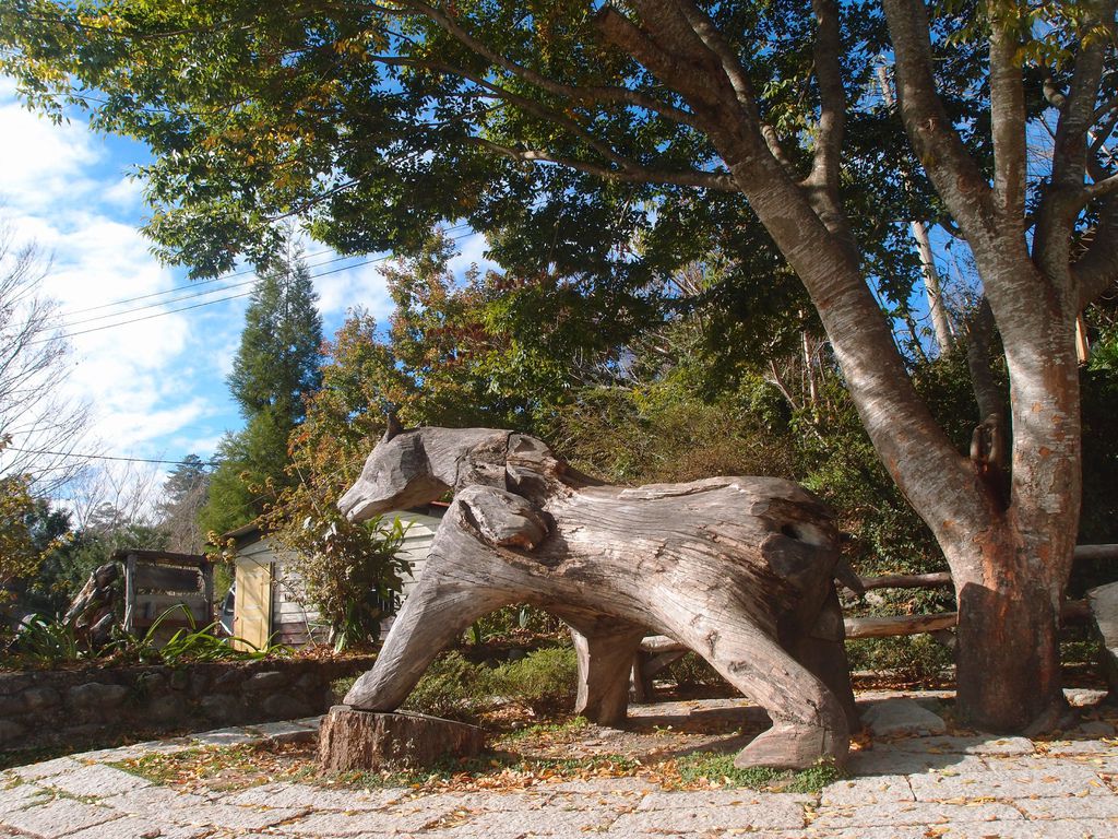 PC203249.JPG PC203249.JPG